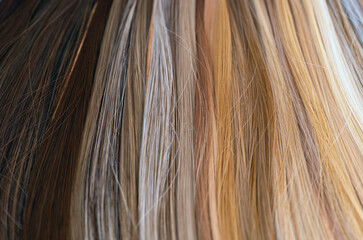 background hair color swatches