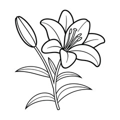 Elegant line art drawing of a blooming lily flower and bud
