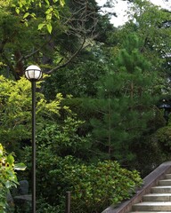 外灯と石段
