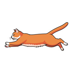 Bounding Cat in Motion: A sleek, orange cat elegantly leaps, its form captured in dynamic animation, conveying swiftness and grace.