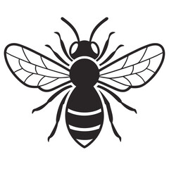 Fototapeta premium Detailed Silhouette of a Honeybee with Intricate Wing Veins and Defined Body Segments Insect Isolated on White