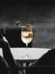 ein Glass wein und eine Biene