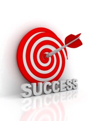 Target success