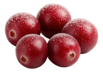 Smoked venison sticks tied with twine, resting on a rustic burlap cloth