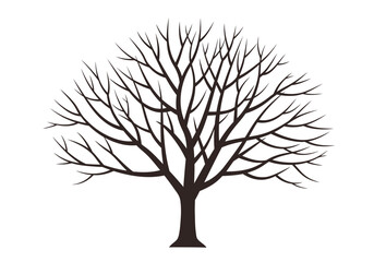 Silhouette of a bare tree with intricate branches against a white background