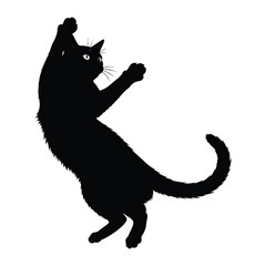 Playful Silhouette: A sleek black cat strikes a dynamic pose, its silhouette conveying energy and grace as it leaps towards an unseen object.