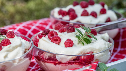 Fresh raspberry dessert served in glass bowls on a picnic blanket in the summer desert, showcasing delicious healthy ingredients and vibrant colors with copy space