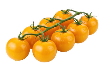 Isolated branch with yellow cherry tomatoes fresh from the farm for an ideal healthy diet