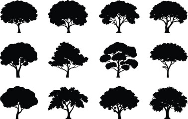 Silhouette collection of twelve unique tree shapes, vector illustration for nature designe 