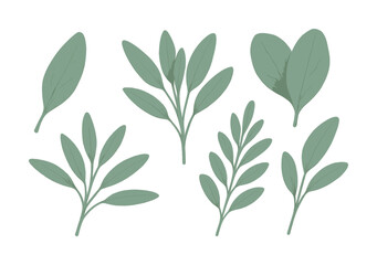 Collection of simple green leaf illustrations on white background