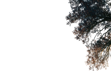 Abstract Colorful Splotch on Black Background