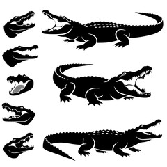 Formidable Alligators: Variety of Poses