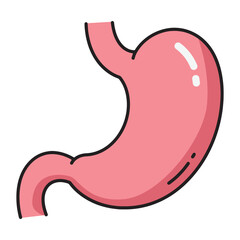 Illustration of the human stomach, a vital organ in the digestive system, depicted in a clean and clear style for educational or medical purposes
