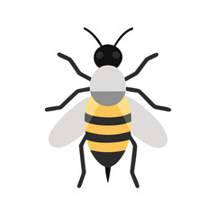 Flat Design Honey Bee Icon or Wasp Top View Vector Illustration