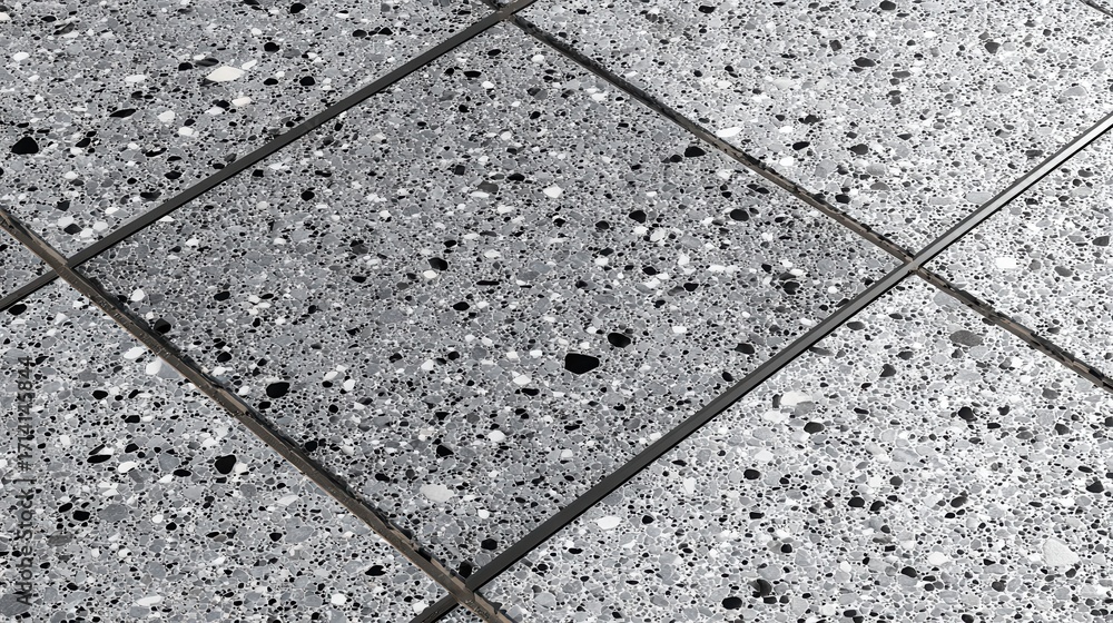 Poster terrazzo flooring featuring a pattern of grey, black, and white stone fragments embedded in a concre