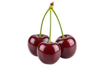 Isolated three fresh ripe dark-red cherries with green stems still connected, healthy snack