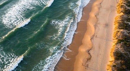 Aerial view of waves crashing onto a sandy beach with coastal vegetation