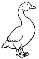 Fototapeta premium Elegant Duck Illustration: A graceful, single duck stands proudly, its posture exuding poise and elegance. The detailed lines create a striking and minimalist depiction of avian beauty.