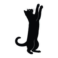 Playful Silhouette of a Black Cat: A sleek black cat stands tall on its hind legs, paws reaching upwards in a whimsical pose. Against the pure expanse.