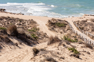 Los Canos de Meca, Tarifa, Andalusia, Spain. 1 September 2025. Vegetation and coastline view