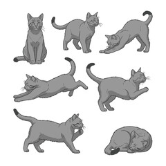 Cat Illustration Set: A detailed illustration presents a collection of gray cats, each showcasing diverse poses, from playful stretches to restful naps.