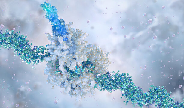 mRNA strand carrying genetic code. Cellular translation process with ribosome synthesizing protein chain from mRNA information. Gene expression, rna, molecular biology science research, scientific 3D