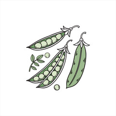 Fototapeta premium Fresh green peas in pods and loose with leaves illustration