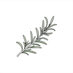 Fototapeta premium Illustration of a single rosemary sprig with green leaves on a white background