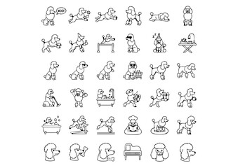Poodle Action Icon Set, Stylish Poodles in Line Art, 30 Icons of Poodle Activities