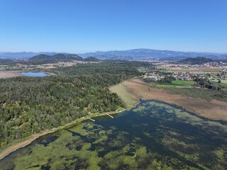Gösselsdorfersee