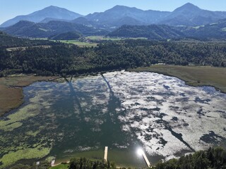 Gösselsdorfersee