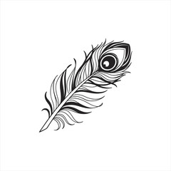 Obraz premium Elegant black and white peacock feather illustration on white background
