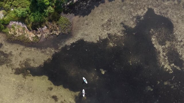 Top-down aerial view of shallow seawater with two white boats floating near coastline, Port St. Joe, Gulf County, Florida, USA