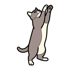 Curious Cat Illustration: A playful illustration of a gray cat in an expressive pose, reaching upwards with its paws, conveying curiosity.