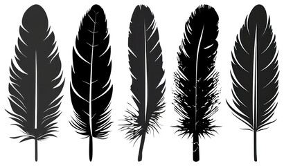 PNG Silhouette feathers in artistic arrangement, element set on transparent background