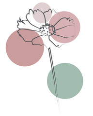 Minimalist line art flower with soft pastel circles, modern botanical abstract illustration