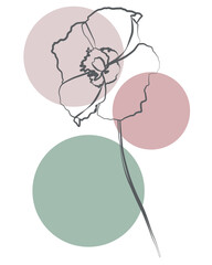 Stylish flower outline with pastel accents, contemporary botanical illustration design