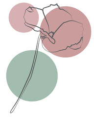Minimalist sketch of a blooming flower with abstract circles, modern wall art concept