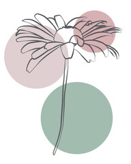Simple elegant flower line drawing with muted tones, aesthetic botanical art style