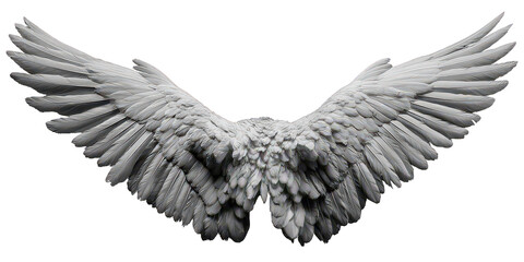 Fototapeta premium Detailed White Angel Wings on Black Background