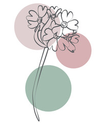 Contemporary flower line sketch with soft abstract circles, stylish graphic artwork