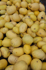 Ripe colorful pumpkin