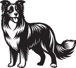 Border Collie Dog Vector Illustration, Black and White Silhouette, Pet Animal Design