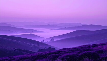 Obraz premium Purple Mist Shrouded Hills at Sunrise