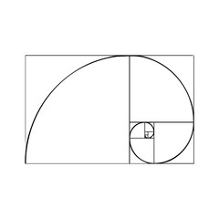 fibonacci spiral vector