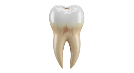 Isolated realistic molar tooth for dentistry or oral hygiene concepts with imperfections