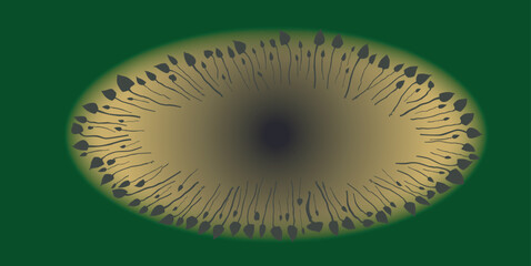 Magical Mushroom Circle Background