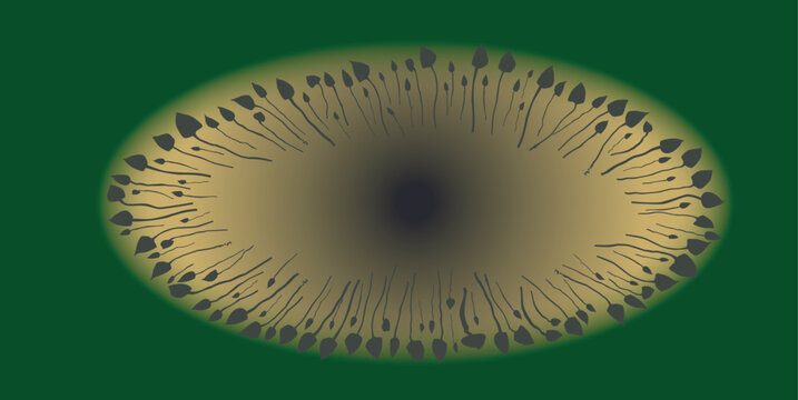Magical Mushroom Circle Background