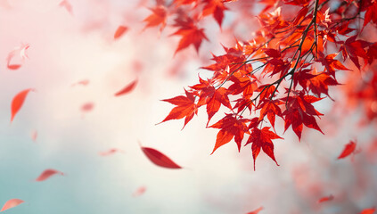 パステルの寒色ベースに暖色の紅葉を散らし補色気味の対比で鮮度を出すブランドフレンドリーな秋ビジュアル.生成AI