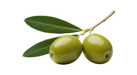 Two olives, twig, leaves. Smooth, shiny. Dark backdrop